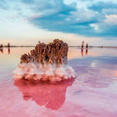 萌宠大爆炸九游最新版下载