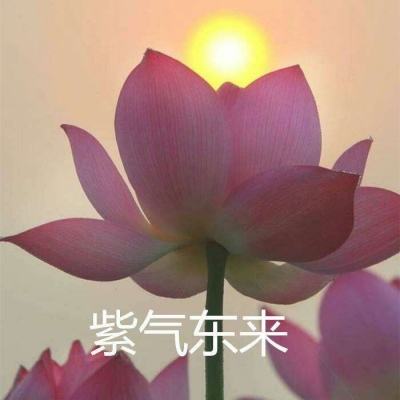 妖神战纪红包版(暂未上线)v1.4.9 安卓版